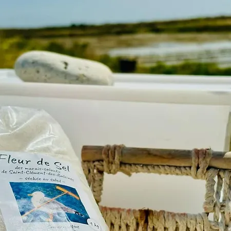 Charming Fisherman's In Ars En Re *